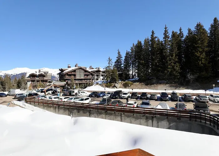 公寓 Aux Pieds 1850 - Parking, Wifi, Casier A Skis - Fr-1-575-223 谷雪维尔