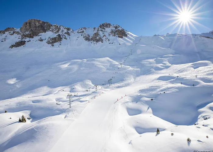 Aux Pieds 1850 - Parking, Wifi, Casier A Skis - Fr-1-575-223 公寓 *